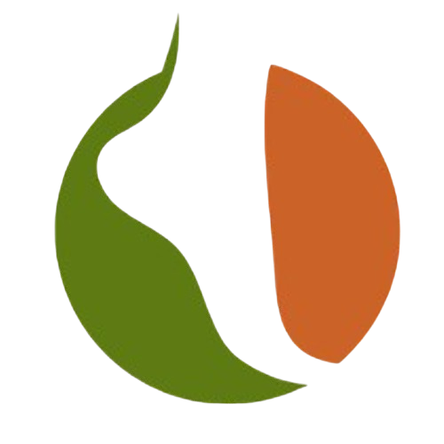 logo2402-removebg-preview